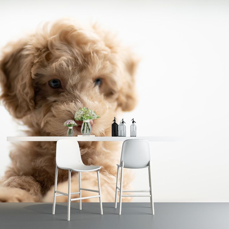 Washable Stain Resistant Mural Wallpaper Lovely Dogs Indoor Wall Mural