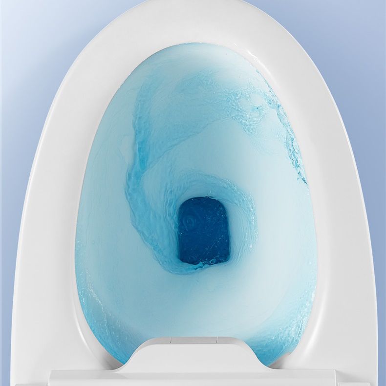Elongated Floor Standing Bidet Contemporary Floor Mount Bidet