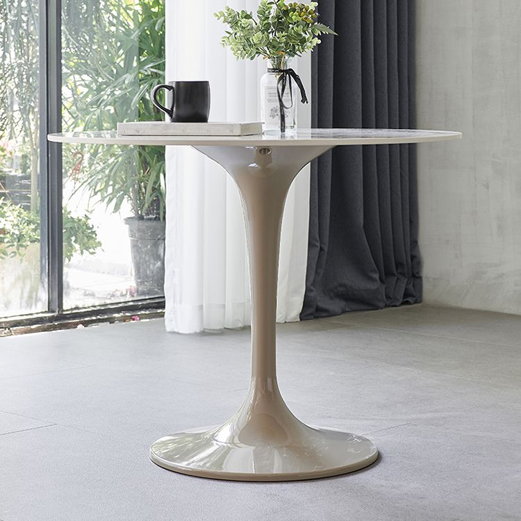 Modern 1/3/4/5 Pieces Sintered Stone Dining Set Dining Furniture Set /Separate Items