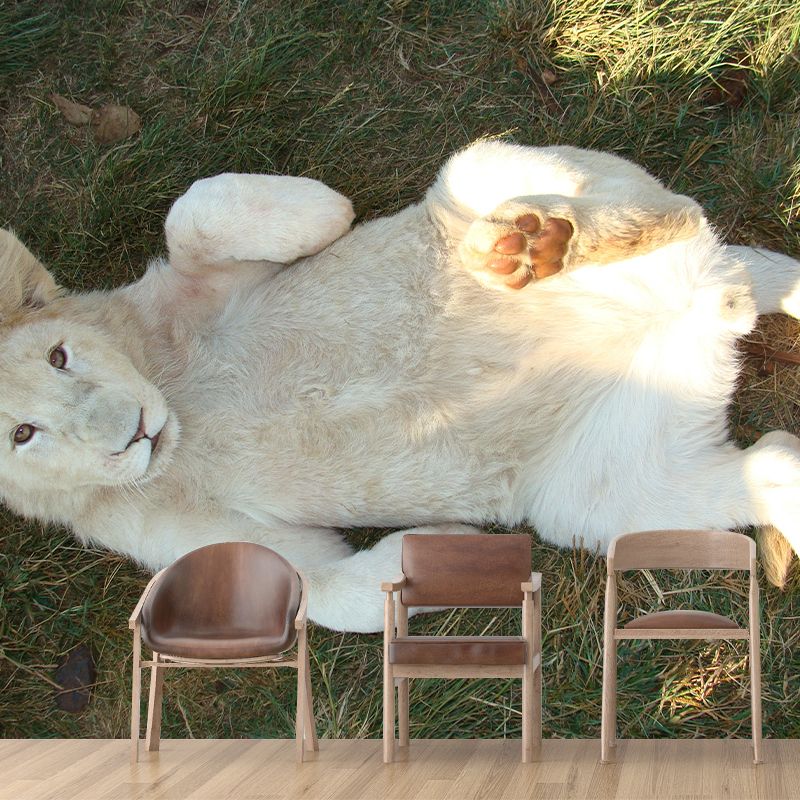 Wild Animal Wall Mural Contemporary Mildew Resistant Wallpaper for Home