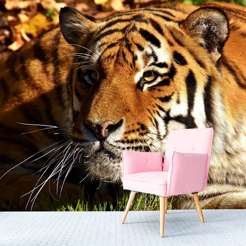 Photography Tropical Tiger Mural Wall Decor Eco-friendly Wall Art for Decoration
