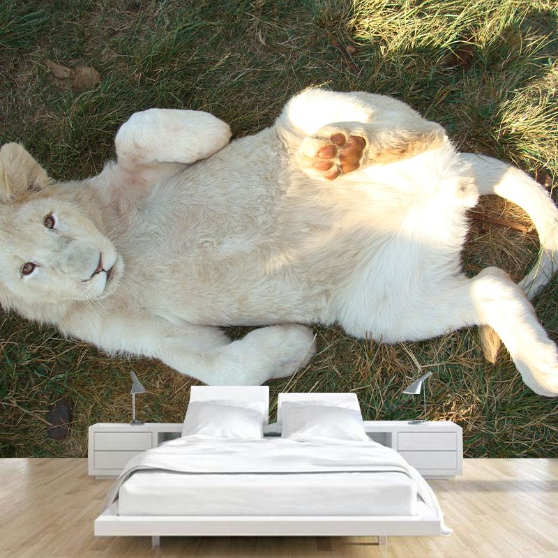 Wild Animal Wall Mural Contemporary Mildew Resistant Wallpaper for Home