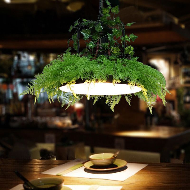 Burst/Barn/Birdcage Plant LED Pendant Lamp Industrial Pink/Green/Purple Finish Iron Hanging Chandelier for Bistro