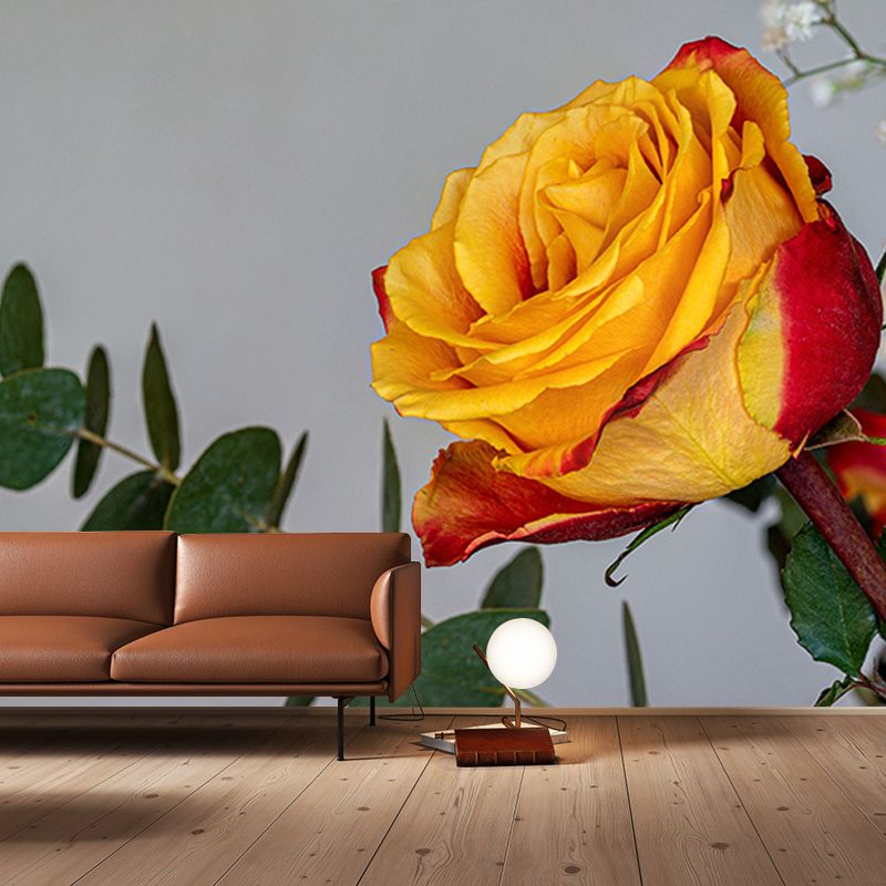 Rose Mural Wallpaper Flower Wall Decor for Girls Bedroom, Made to Measure