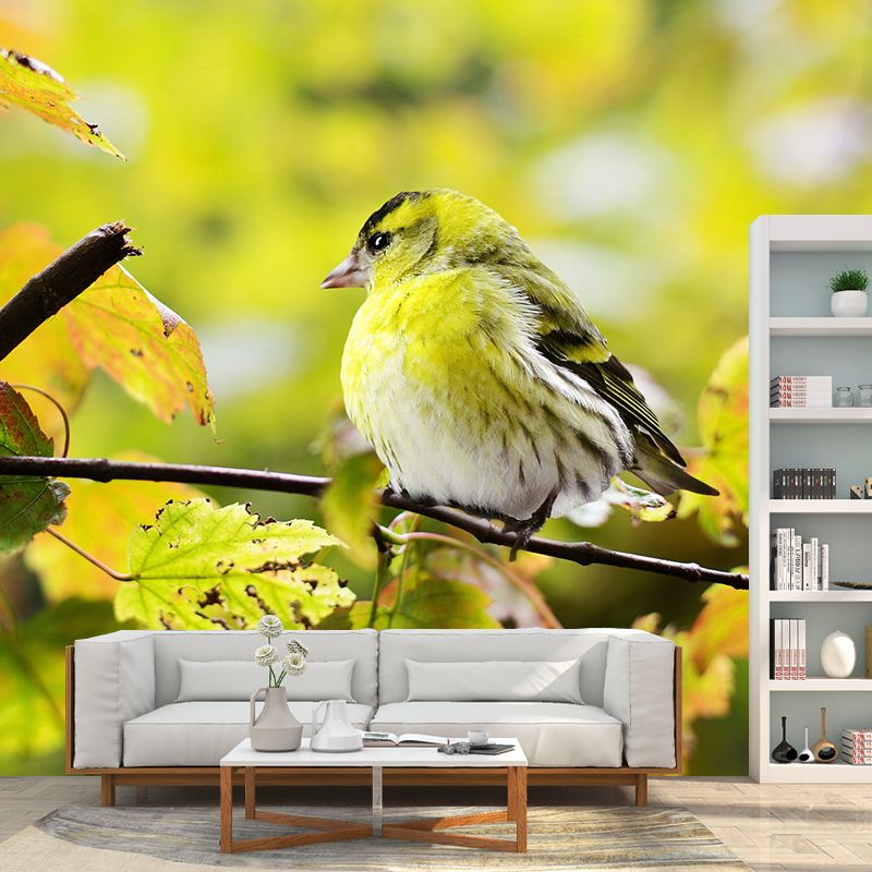 Creative Forest Bird Photography Mural Moistureproof for Living Room and Bedroom Wall Decor