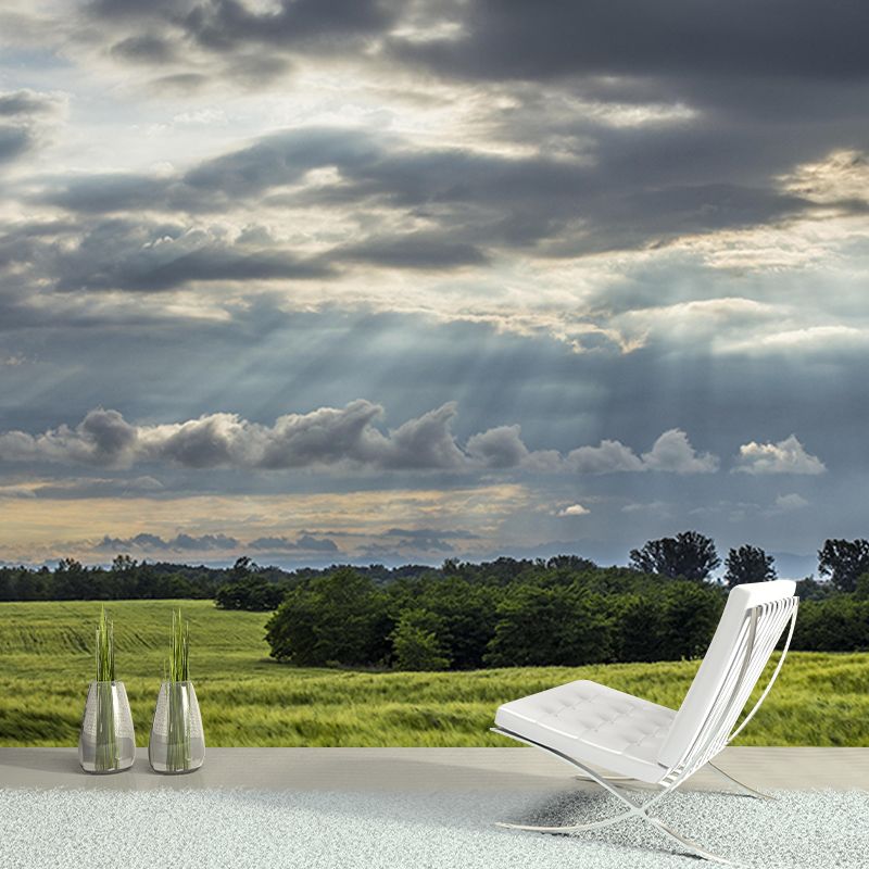 Mildew Resistant Wall Mural Wallpaper Sky Landscapes Pattern for Wall Decor