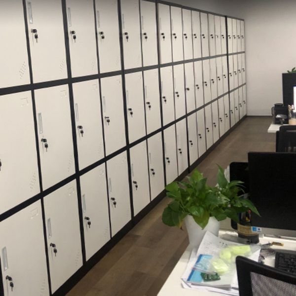 Metal Contemporary Cabinet for Home Matte Finish Storage Cabinet