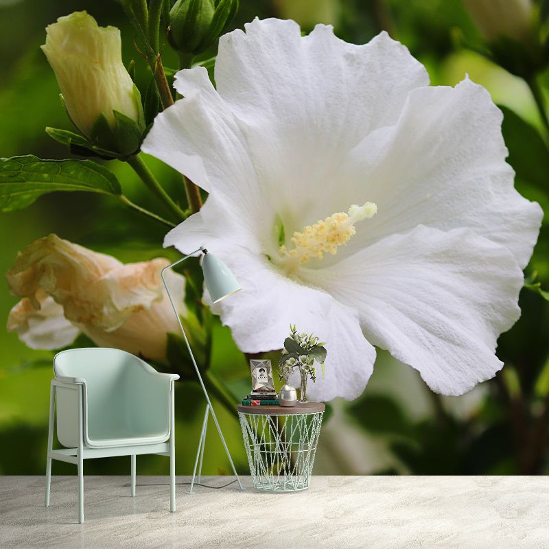 Photography Style Hibiscu Blossing Mural Wallpaper Modern Wall Covering for Living Room