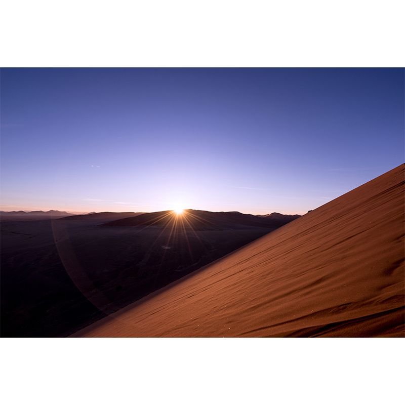 Arid Desert Landscape Mural for Living Room Decoration, Made to Measure