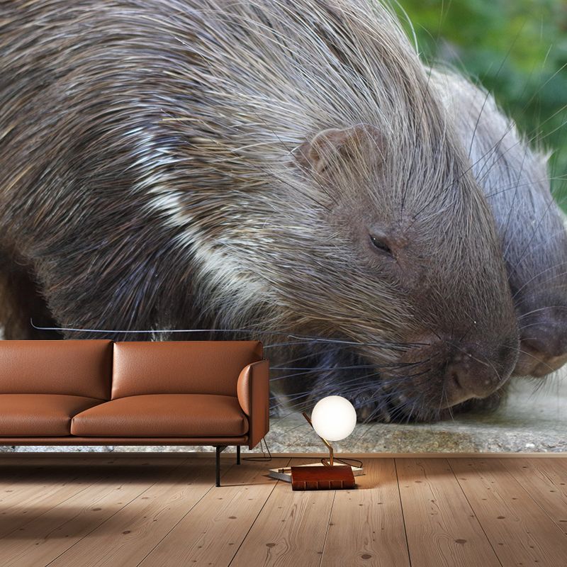 Environment Friendly Mural with Porcupine Painting Mildew Resistant Wallpaper Home Decor
