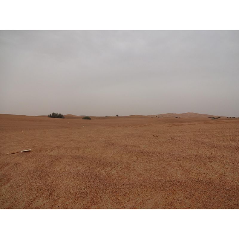 Contemporary Style Desert Wall Mural Mildew Resistant Wall Decor