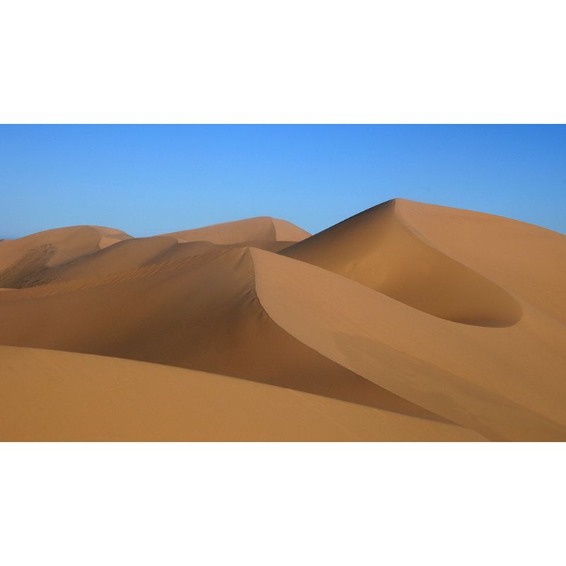 Desert Photography Mural Wallpaper Decorative Bedroom Wall Mural
