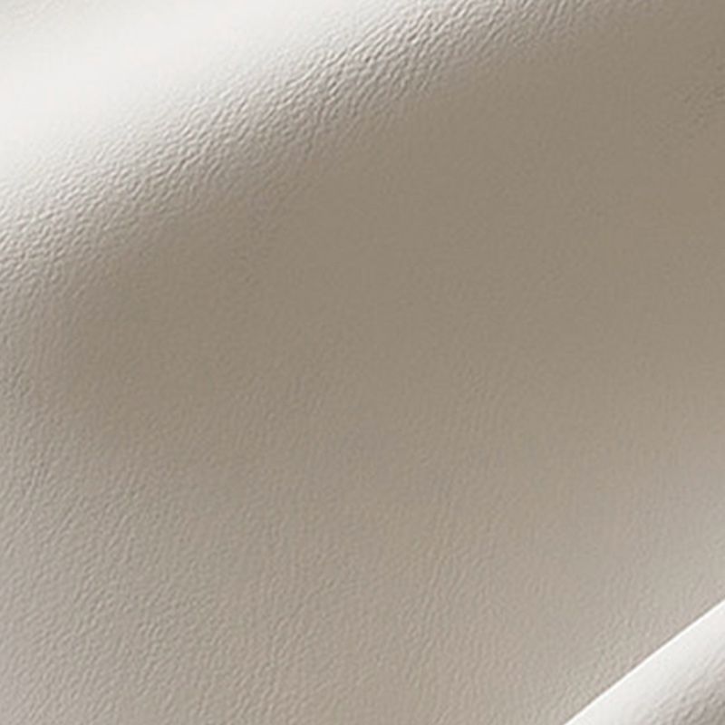 Genuine Leather Upholstered StandardBed 63" H Panel Bed with Lift Up Storage