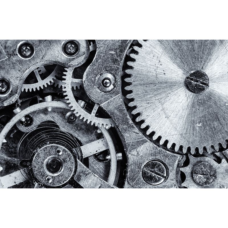 Beautiful Photography Mural Wallpaper Metal Gear Indoor Wall Mural