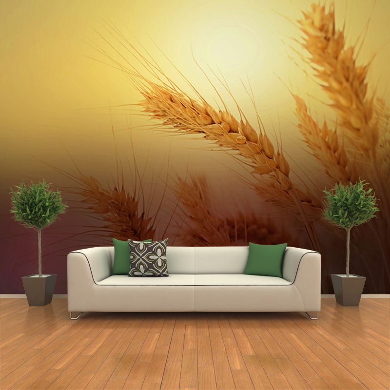 Photography Wheat Field Mildew Resistant Wallpaper Environmental Sleeping Room Wall Mural
