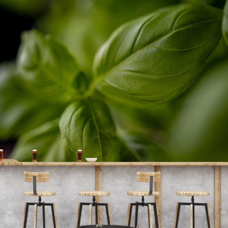 Basil Leaf Painting Mural Decal Modern Mildew Resistant Wall Covering for Decoration