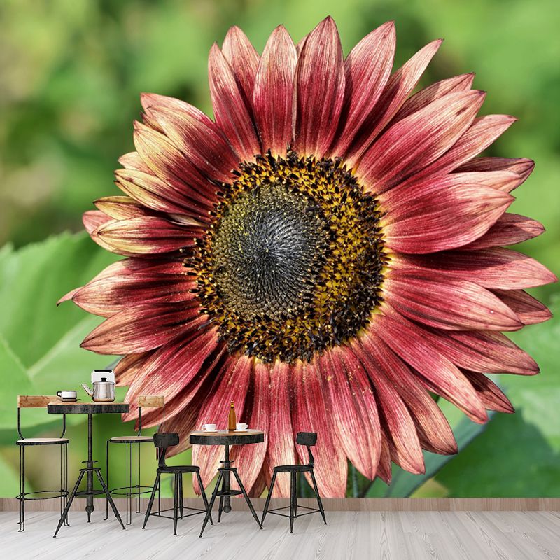 Blooming Sunflower Wall Mural for Living Room Decoration, Made to Measure