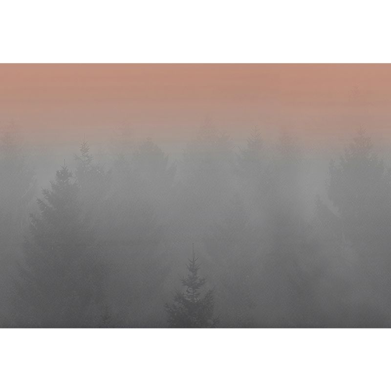 Misty Forest Morning Murals Grey and Orange Contemporary Wall Art for Home Decor