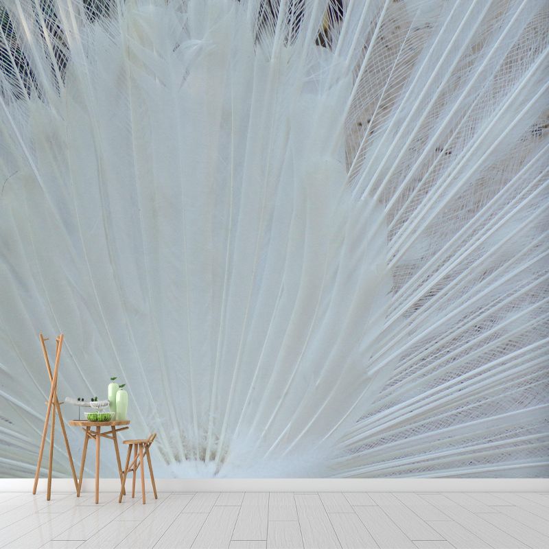 Peacock  Feather Wall Mural Wallpaper Mildew Resistant Wall Covering for Decoration