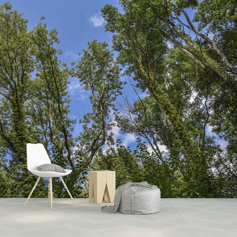 Sky Scene Style Forest Wall Mural Wallpaper Photography Mildew Resistant for Living Room