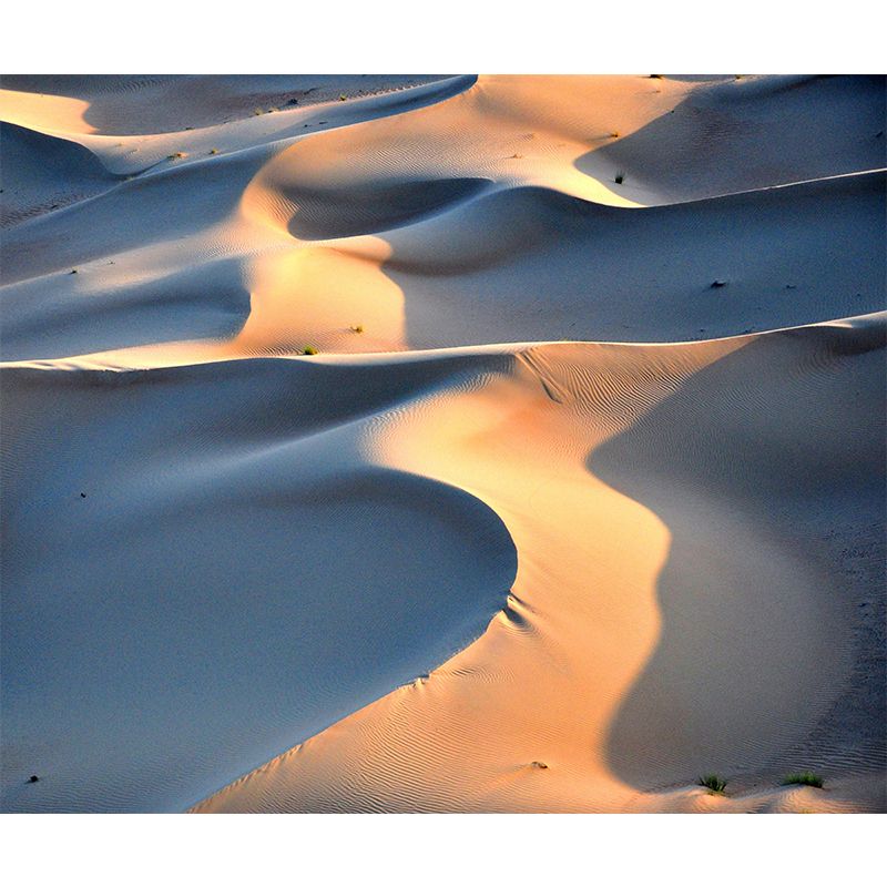 Sand Scene Mural Mildew Resistant Wall Huge Desert Wallpaper Living Room Wall Mural