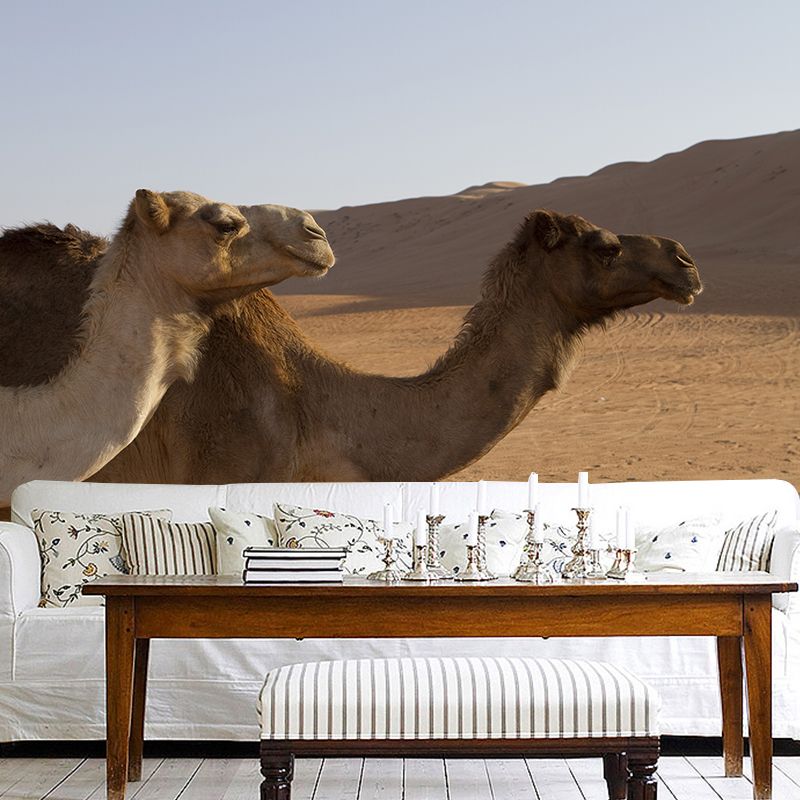 Desert Camel Animal Wall Mural Home Decorative Water Resistant, Personalised Size