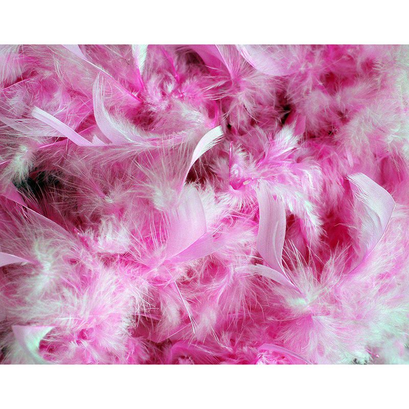 Feather Environment Friendly Mural Wallpaper Photography Bedroom Wall Mural