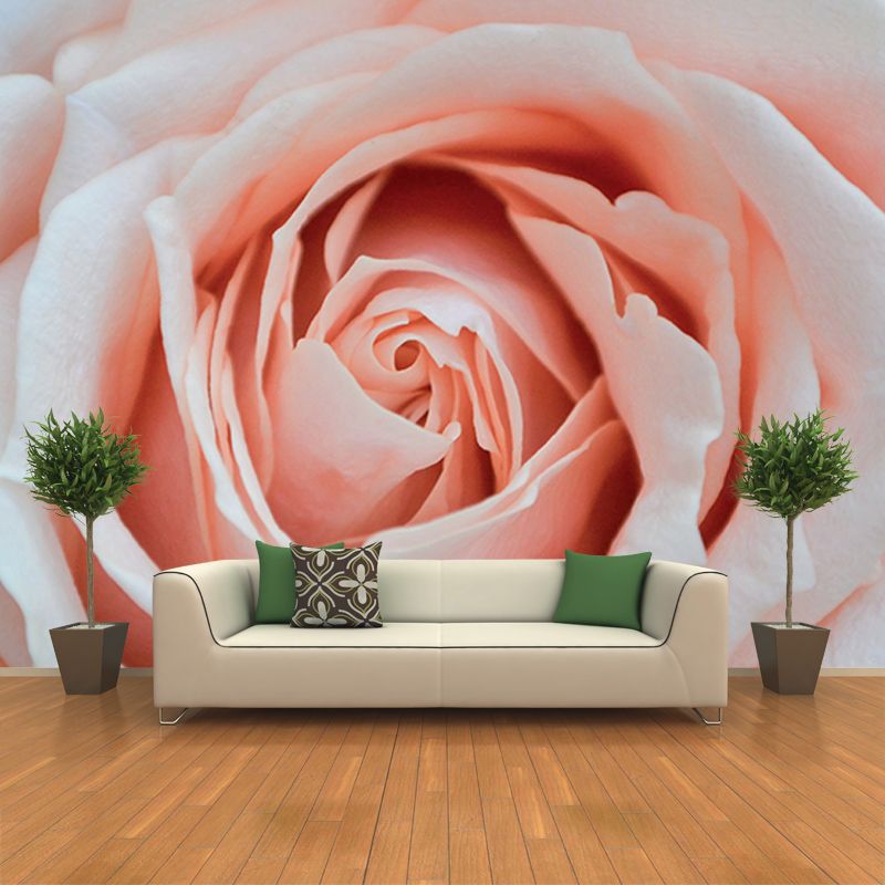 Environmental Photography Mural Wallpaper Elegant Rose Indoor Wall Mural