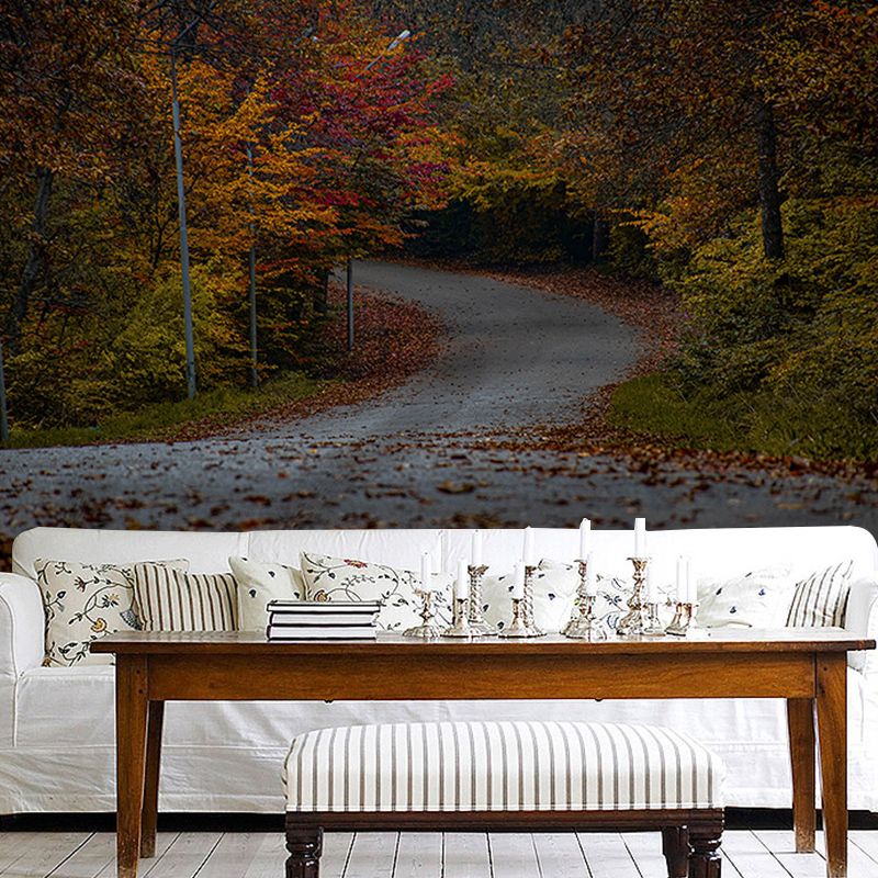 Beautiful Photography Mural Wallpaper Forest Path Indoor Wall Mural