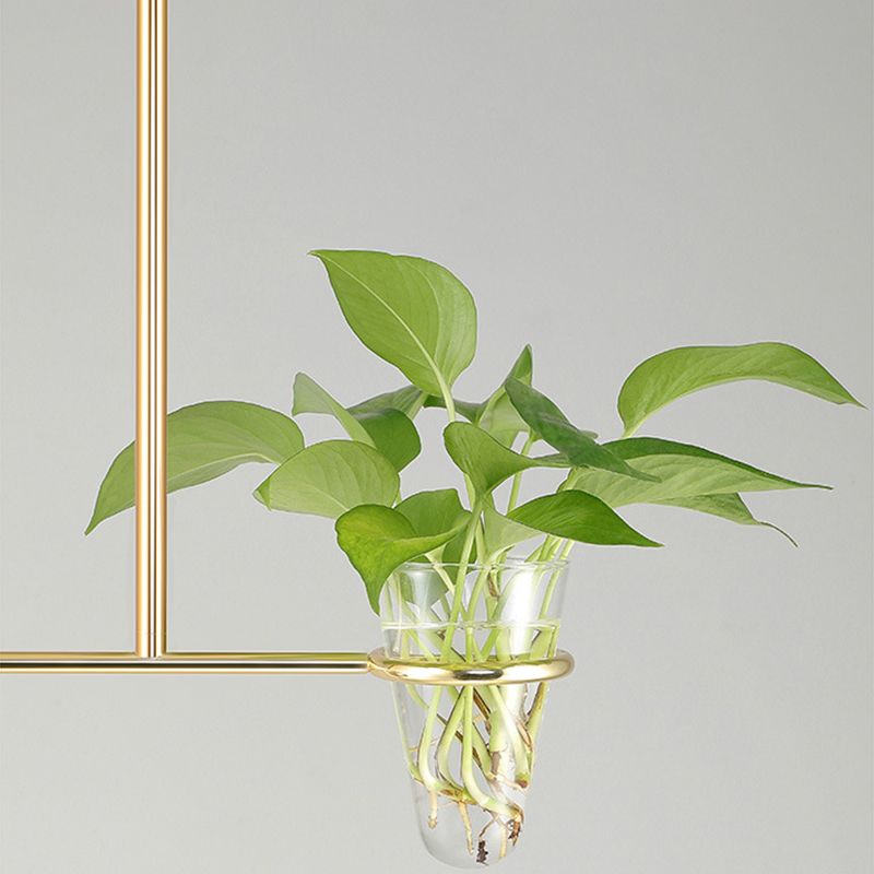 1 Light Hydroponics Botany Pendant Light moderne moderne Minimaliste en verre sphérique Salle de restauration