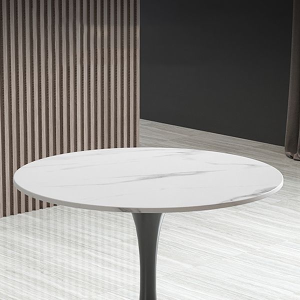 Modern Round Dining Table Sintered Stone Tulip Table for Dining Room