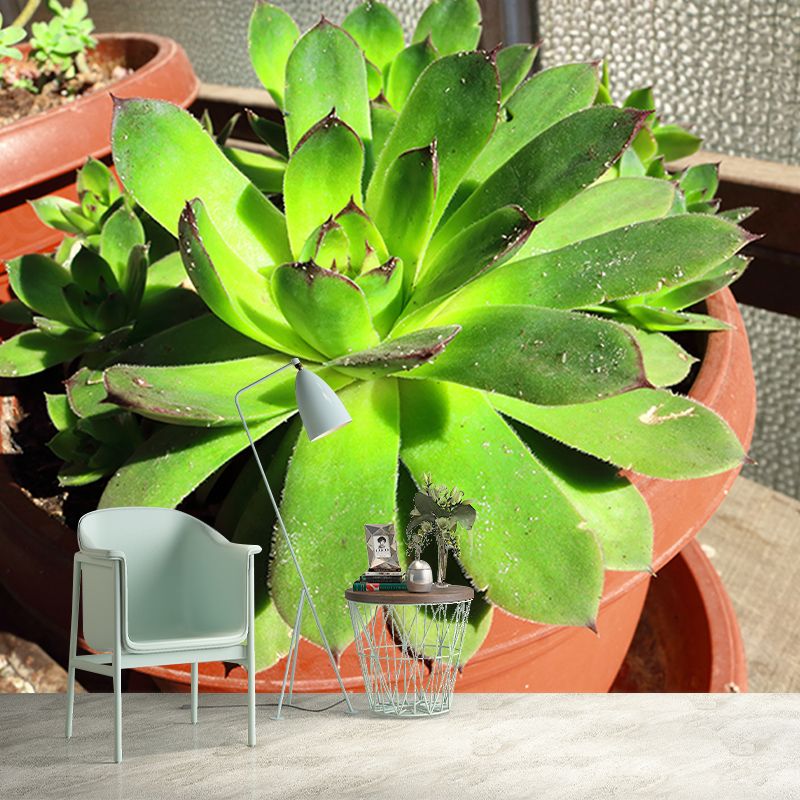 Rosette Plant Removable Wall Art Decor for Office Apartment, Moisture Resistant