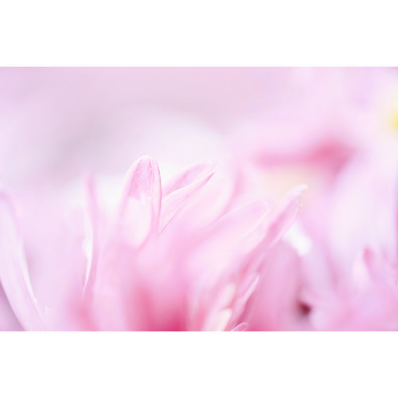 Watercolor Texture Photography Mural Wallpaper Environment Friendly Living Room Wall Mural