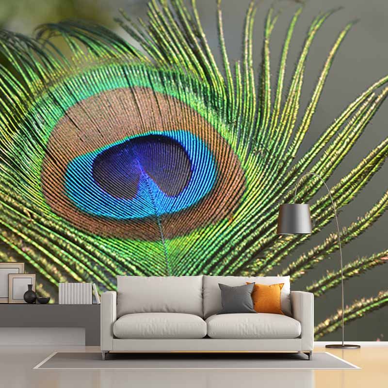 Simple Feather Photography Wall Murals Moisture Resistant, Made to Measure