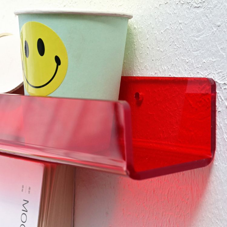 Acrylic Wall Mounted Storage Bookshelf 23.5"L Modern Bookcase for Home