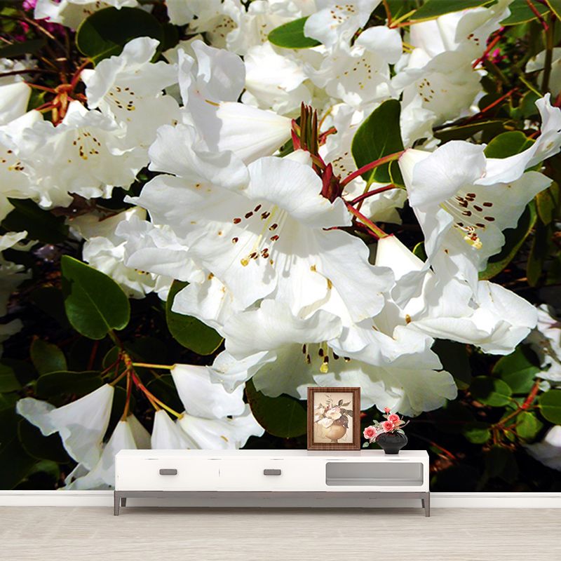Rhododendron Wall Mural for Guest Room Bedroom, Personalized Size Available
