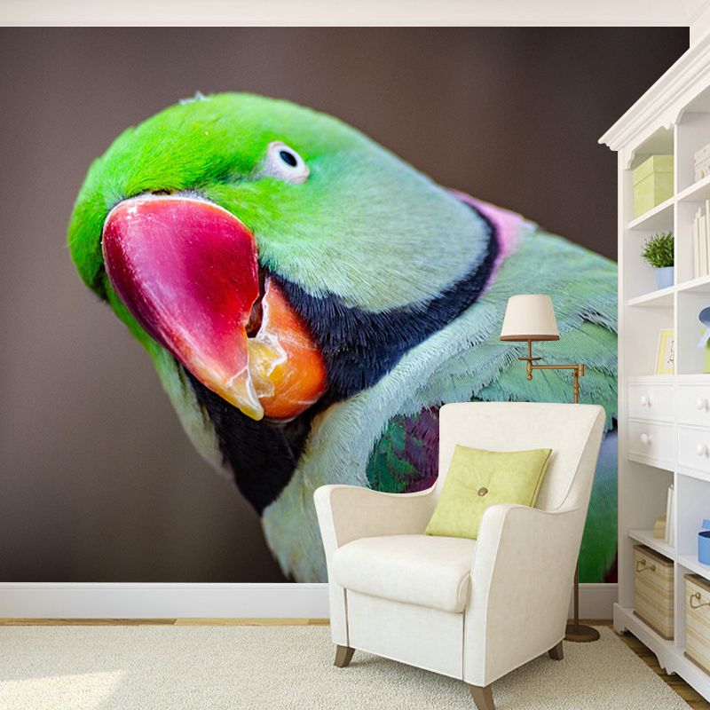 Bird Mildew Resistant Wild Animal Mural Contemporary Photography Bedroom Wall Mural