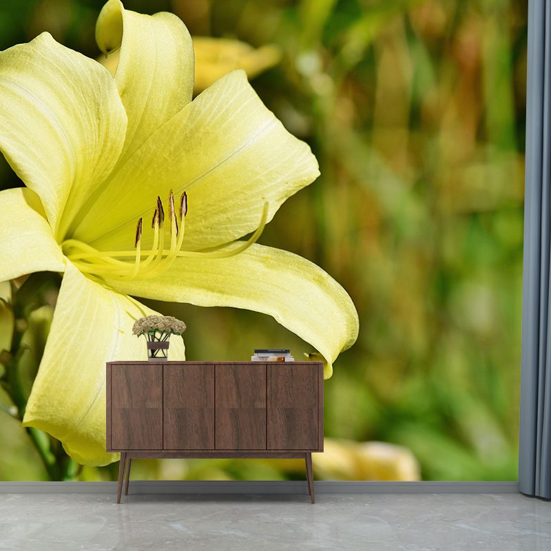 Modern Beautiful Lily Wall Mural Stain Resistant Wall Art for Living Room