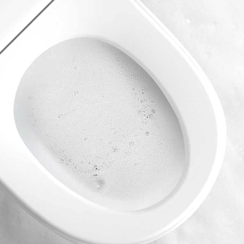 Contemporary One Piece Flush Toilet Heated Seat Included Toilet Bowl for Bathroom