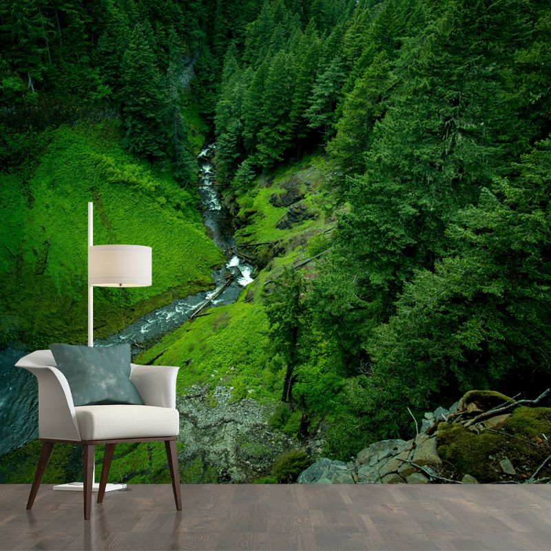 Huge Forest Landscapes Mural Photography Wall Covering for Dining Room