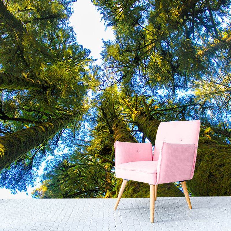 Wall Covering Contemporary Photography Forest Wall Mural Wallpaper Bedroom