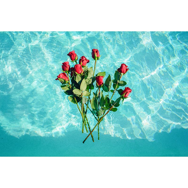 Modern Style Wall Mural Wallpaper Beautiful Roses Bedroom Wall Mural