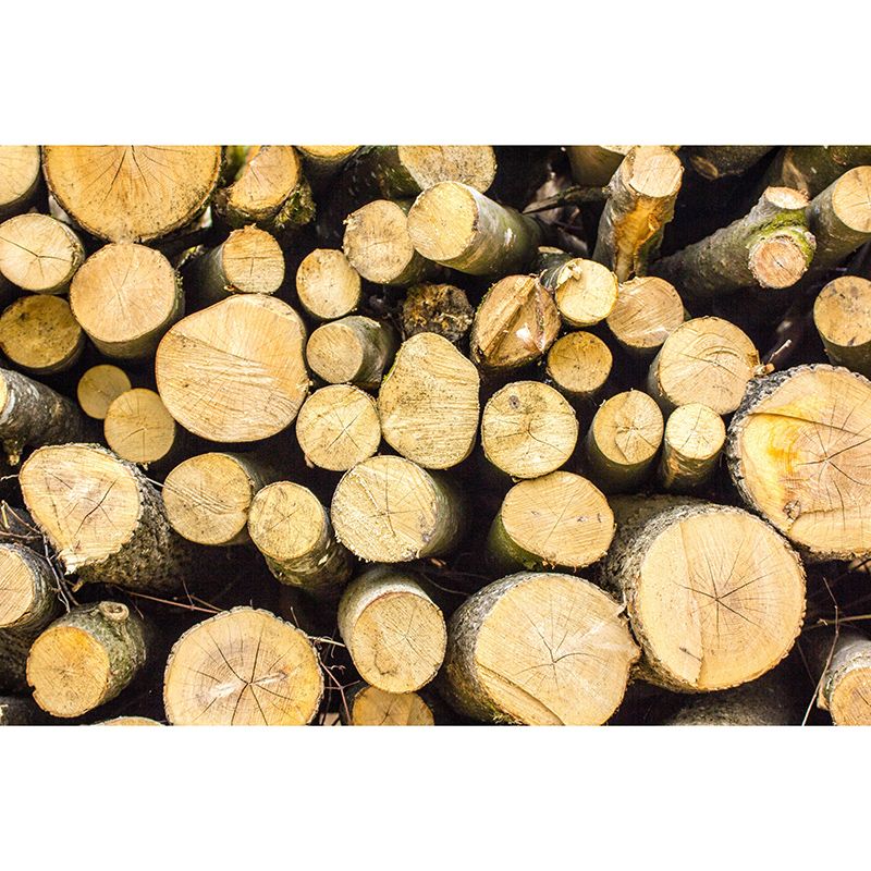 Wood 3D Industrial Style Wood Texture Mural Mildew Resistant Wall Decor