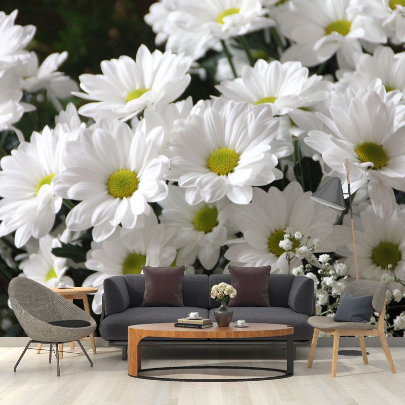 Horizontal Photography Daisy Wall Mural for Living Room Girls Women Bedroom