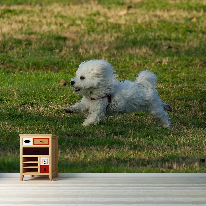 Different Kinds Dog Mural Decal Customized Modern Wall Covering for Bedroom