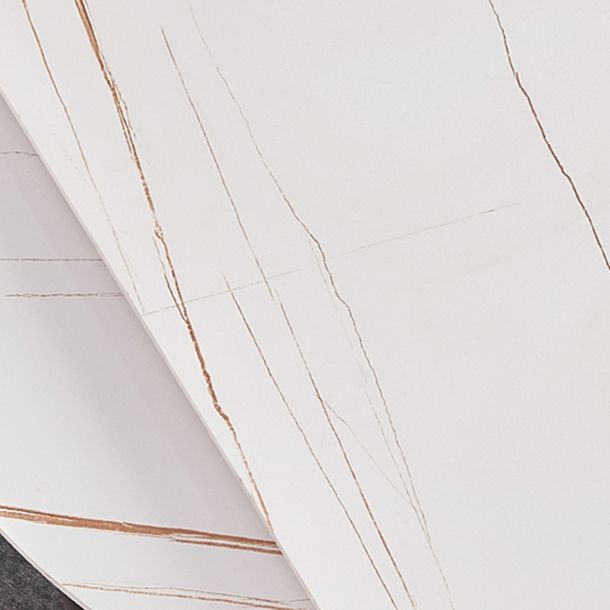 Modern 1/3/4/5/7 Pieces White Dining Table Set with Sintered Stone Top Round Dinette Set