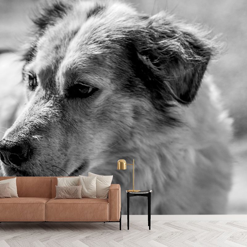 Naughty Puppy Mural Wallpaper Mildew Resistant Home Decor, Waterproofing