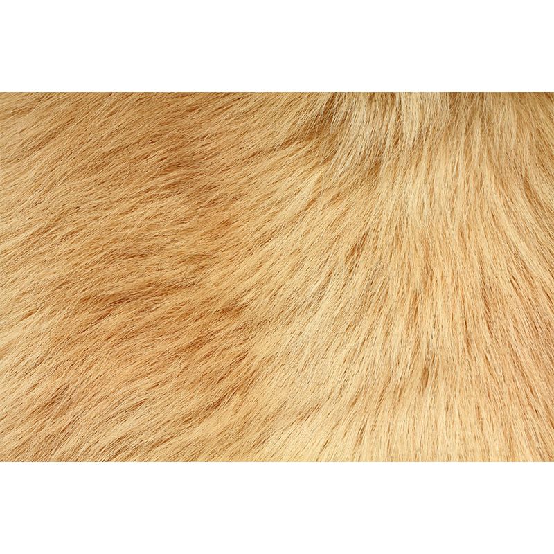 Photographic Animal Fur Print Mural Full Size Wall Decor for Boys Room, Custom Made