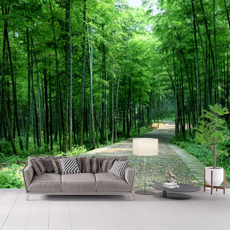 Path to Bamboo Forest Mural Green Modern Style Wall Covering for Home, Personalized Size