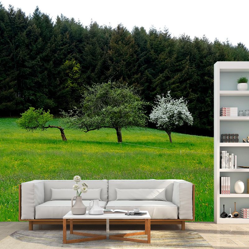 Spring Forest Scenery Wall Mural Contemporary Home Decor for Sitting Room